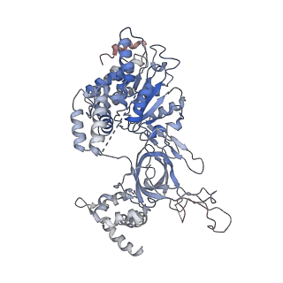 8540_5v8f_2_v1-3
Structural basis of MCM2-7 replicative helicase loading by ORC-Cdc6 and Cdt1