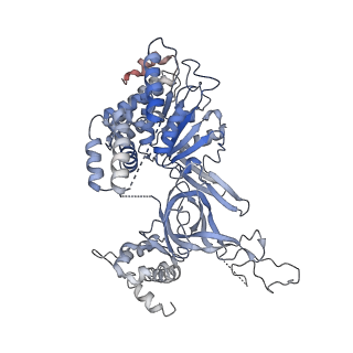 8540_5v8f_2_v2-0
Structural basis of MCM2-7 replicative helicase loading by ORC-Cdc6 and Cdt1