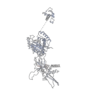 8540_5v8f_3_v1-3
Structural basis of MCM2-7 replicative helicase loading by ORC-Cdc6 and Cdt1