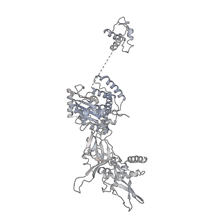 8540_5v8f_3_v2-0
Structural basis of MCM2-7 replicative helicase loading by ORC-Cdc6 and Cdt1