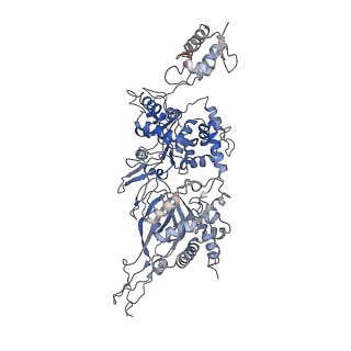 8540_5v8f_4_v1-3
Structural basis of MCM2-7 replicative helicase loading by ORC-Cdc6 and Cdt1