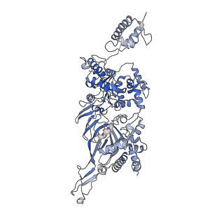8540_5v8f_4_v2-0
Structural basis of MCM2-7 replicative helicase loading by ORC-Cdc6 and Cdt1