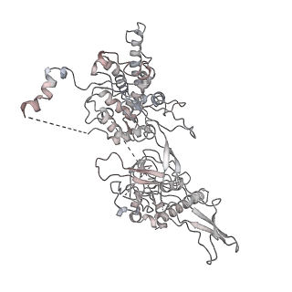 8540_5v8f_5_v1-3
Structural basis of MCM2-7 replicative helicase loading by ORC-Cdc6 and Cdt1