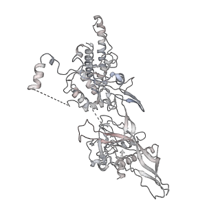 8540_5v8f_5_v2-0
Structural basis of MCM2-7 replicative helicase loading by ORC-Cdc6 and Cdt1