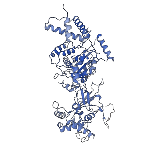 8540_5v8f_6_v1-3
Structural basis of MCM2-7 replicative helicase loading by ORC-Cdc6 and Cdt1