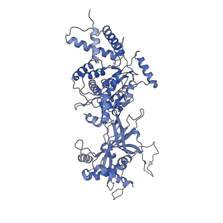 8540_5v8f_6_v2-0
Structural basis of MCM2-7 replicative helicase loading by ORC-Cdc6 and Cdt1