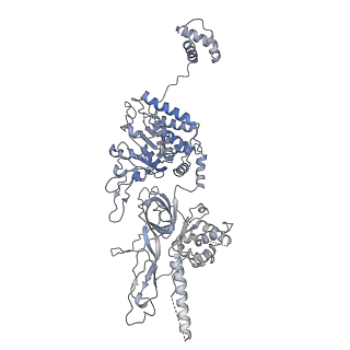 8540_5v8f_7_v1-3
Structural basis of MCM2-7 replicative helicase loading by ORC-Cdc6 and Cdt1