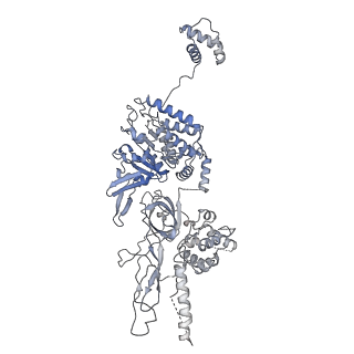 8540_5v8f_7_v2-0
Structural basis of MCM2-7 replicative helicase loading by ORC-Cdc6 and Cdt1