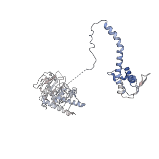 8540_5v8f_8_v1-3
Structural basis of MCM2-7 replicative helicase loading by ORC-Cdc6 and Cdt1