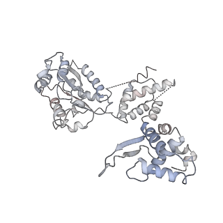8540_5v8f_9_v1-3
Structural basis of MCM2-7 replicative helicase loading by ORC-Cdc6 and Cdt1