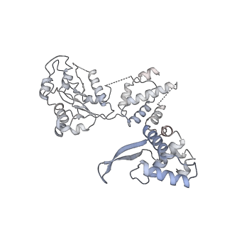 8540_5v8f_9_v2-0
Structural basis of MCM2-7 replicative helicase loading by ORC-Cdc6 and Cdt1