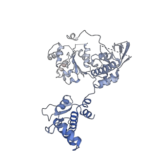 8540_5v8f_A_v2-0
Structural basis of MCM2-7 replicative helicase loading by ORC-Cdc6 and Cdt1