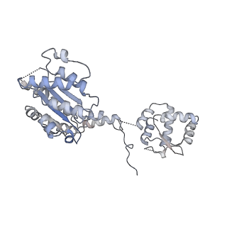 8540_5v8f_B_v2-0
Structural basis of MCM2-7 replicative helicase loading by ORC-Cdc6 and Cdt1