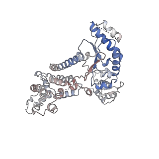 8540_5v8f_C_v1-3
Structural basis of MCM2-7 replicative helicase loading by ORC-Cdc6 and Cdt1