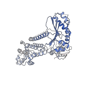 8540_5v8f_C_v2-0
Structural basis of MCM2-7 replicative helicase loading by ORC-Cdc6 and Cdt1