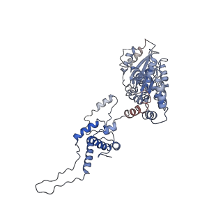 8540_5v8f_D_v1-3
Structural basis of MCM2-7 replicative helicase loading by ORC-Cdc6 and Cdt1