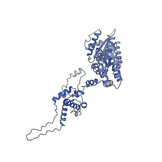 8540_5v8f_D_v2-0
Structural basis of MCM2-7 replicative helicase loading by ORC-Cdc6 and Cdt1