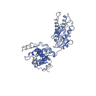 8540_5v8f_E_v1-3
Structural basis of MCM2-7 replicative helicase loading by ORC-Cdc6 and Cdt1