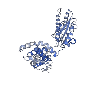 8540_5v8f_E_v2-0
Structural basis of MCM2-7 replicative helicase loading by ORC-Cdc6 and Cdt1