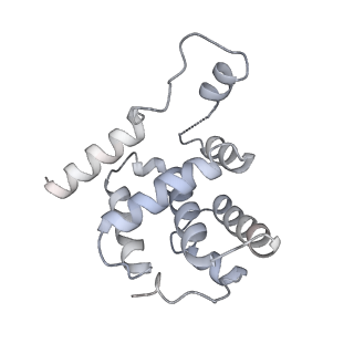 8540_5v8f_F_v2-0
Structural basis of MCM2-7 replicative helicase loading by ORC-Cdc6 and Cdt1