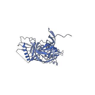 8643_5v8l_C_v1-2
BG505 SOSIP.664 trimer in complex with broadly neutralizing HIV antibodies 3BNC117 and PGT145