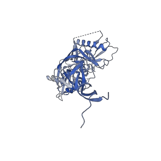 8643_5v8l_D_v1-2
BG505 SOSIP.664 trimer in complex with broadly neutralizing HIV antibodies 3BNC117 and PGT145