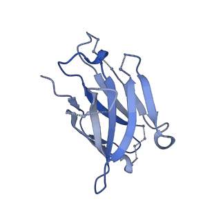 8643_5v8l_H_v1-2
BG505 SOSIP.664 trimer in complex with broadly neutralizing HIV antibodies 3BNC117 and PGT145