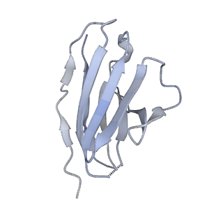 8643_5v8l_K_v1-2
BG505 SOSIP.664 trimer in complex with broadly neutralizing HIV antibodies 3BNC117 and PGT145