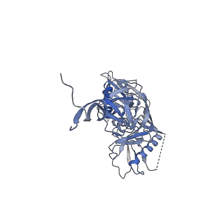 8644_5v8m_A_v1-2
BG505 SOSIP.664 trimer in complex with broadly neutralizing HIV antibody 3BNC117