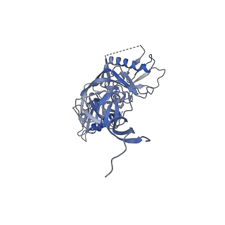 8644_5v8m_G_v1-2
BG505 SOSIP.664 trimer in complex with broadly neutralizing HIV antibody 3BNC117