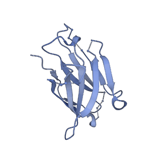 8644_5v8m_H_v1-2
BG505 SOSIP.664 trimer in complex with broadly neutralizing HIV antibody 3BNC117