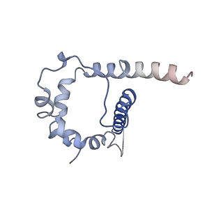 8644_5v8m_I_v1-2
BG505 SOSIP.664 trimer in complex with broadly neutralizing HIV antibody 3BNC117