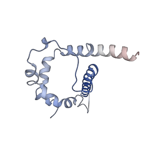 8644_5v8m_I_v2-0
BG505 SOSIP.664 trimer in complex with broadly neutralizing HIV antibody 3BNC117