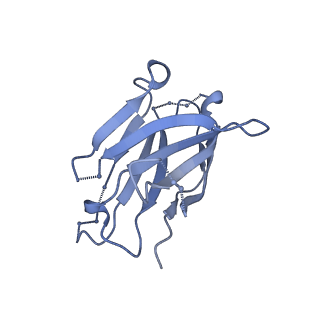 8644_5v8m_S_v1-2
BG505 SOSIP.664 trimer in complex with broadly neutralizing HIV antibody 3BNC117