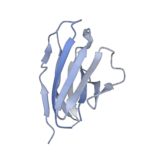 8644_5v8m_T_v1-2
BG505 SOSIP.664 trimer in complex with broadly neutralizing HIV antibody 3BNC117