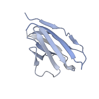 8644_5v8m_U_v1-2
BG505 SOSIP.664 trimer in complex with broadly neutralizing HIV antibody 3BNC117