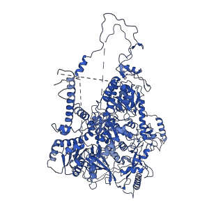21115_6v93_A_v1-2
Structure of DNA Polymerase Zeta/DNA/dNTP Ternary Complex