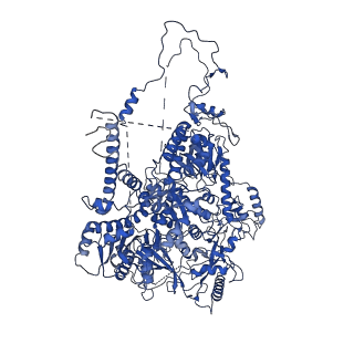 21115_6v93_A_v1-3
Structure of DNA Polymerase Zeta/DNA/dNTP Ternary Complex