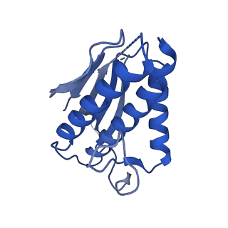 21115_6v93_D_v1-2
Structure of DNA Polymerase Zeta/DNA/dNTP Ternary Complex