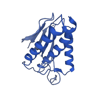 21115_6v93_D_v1-3
Structure of DNA Polymerase Zeta/DNA/dNTP Ternary Complex