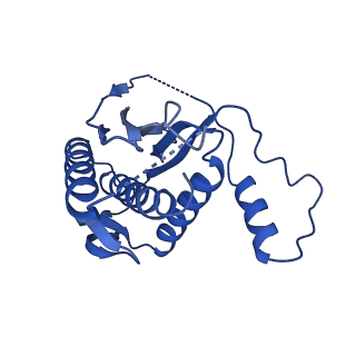 21115_6v93_E_v1-2
Structure of DNA Polymerase Zeta/DNA/dNTP Ternary Complex