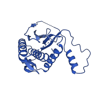 21115_6v93_E_v1-3
Structure of DNA Polymerase Zeta/DNA/dNTP Ternary Complex