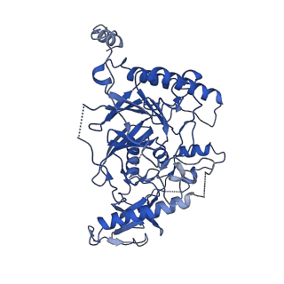 21115_6v93_F_v1-2
Structure of DNA Polymerase Zeta/DNA/dNTP Ternary Complex