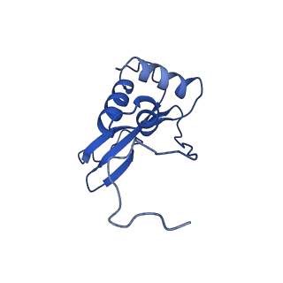 21115_6v93_G_v1-2
Structure of DNA Polymerase Zeta/DNA/dNTP Ternary Complex