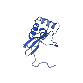 21115_6v93_G_v1-3
Structure of DNA Polymerase Zeta/DNA/dNTP Ternary Complex