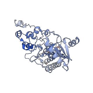 21120_6v9h_A_v1-1
Ankyrin repeat and SOCS-box protein 9 (ASB9), ElonginB (ELOB), and ElonginC (ELOC) bound to its substrate Brain-type Creatine Kinase (CKB)