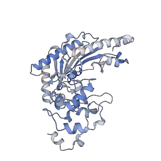 21120_6v9h_B_v1-1
Ankyrin repeat and SOCS-box protein 9 (ASB9), ElonginB (ELOB), and ElonginC (ELOC) bound to its substrate Brain-type Creatine Kinase (CKB)