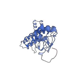 21120_6v9h_C_v1-1
Ankyrin repeat and SOCS-box protein 9 (ASB9), ElonginB (ELOB), and ElonginC (ELOC) bound to its substrate Brain-type Creatine Kinase (CKB)