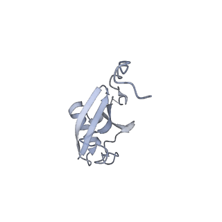 21120_6v9h_E_v1-1
Ankyrin repeat and SOCS-box protein 9 (ASB9), ElonginB (ELOB), and ElonginC (ELOC) bound to its substrate Brain-type Creatine Kinase (CKB)
