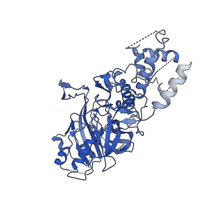 21126_6v9q_A_v1-2
Cryo-EM structure of Cascade-TniQ binary complex